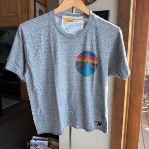 Aviator Nation Womens Gray T Shirt with Mountain Detail (Size L)